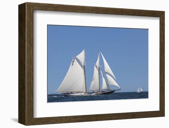 USA, Massachusetts, Cape Ann, Gloucester, schooner sailing ships-Walter Bibikow-Framed Photographic Print