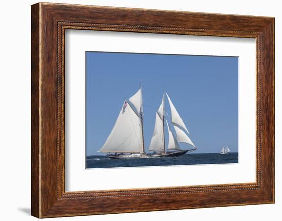 USA, Massachusetts, Cape Ann, Gloucester, schooner sailing ships-Walter Bibikow-Framed Photographic Print