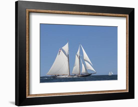 USA, Massachusetts, Cape Ann, Gloucester, schooner sailing ships-Walter Bibikow-Framed Photographic Print