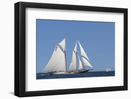 USA, Massachusetts, Cape Ann, Gloucester, schooner sailing ships-Walter Bibikow-Framed Photographic Print