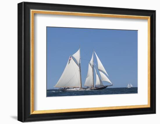 USA, Massachusetts, Cape Ann, Gloucester, schooner sailing ships-Walter Bibikow-Framed Photographic Print