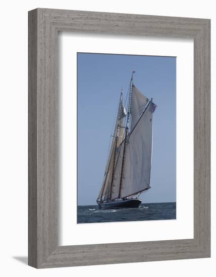 USA, Massachusetts, Cape Ann, Gloucester, schooner sailing ships-Walter Bibikow-Framed Photographic Print