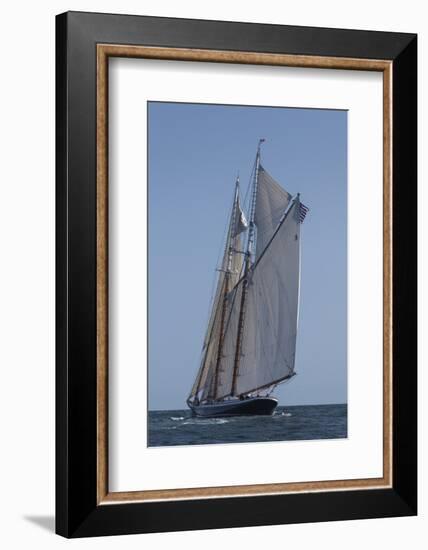 USA, Massachusetts, Cape Ann, Gloucester, schooner sailing ships-Walter Bibikow-Framed Photographic Print