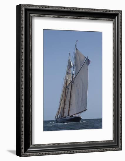 USA, Massachusetts, Cape Ann, Gloucester, schooner sailing ships-Walter Bibikow-Framed Photographic Print