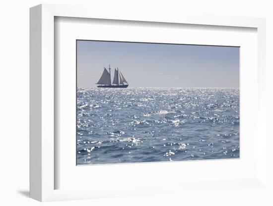 USA, Massachusetts, Cape Ann, Gloucester, schooner sailing ships-Walter Bibikow-Framed Photographic Print