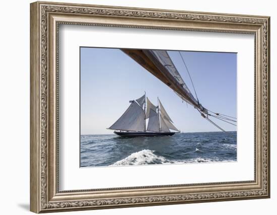 USA, Massachusetts, Cape Ann, Gloucester, schooner sailing ships-Walter Bibikow-Framed Photographic Print