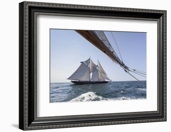 USA, Massachusetts, Cape Ann, Gloucester, schooner sailing ships-Walter Bibikow-Framed Photographic Print