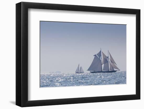 USA, Massachusetts, Cape Ann, Gloucester, schooner sailing ships-Walter Bibikow-Framed Photographic Print