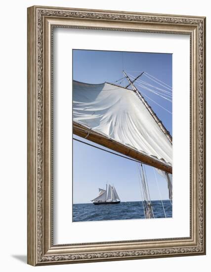 USA, Massachusetts, Cape Ann, Gloucester, schooner sailing ships-Walter Bibikow-Framed Photographic Print