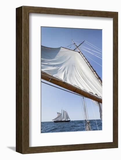 USA, Massachusetts, Cape Ann, Gloucester, schooner sailing ships-Walter Bibikow-Framed Photographic Print