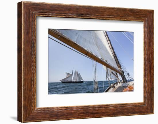 USA, Massachusetts, Cape Ann, Gloucester, schooner sailing ships-Walter Bibikow-Framed Photographic Print