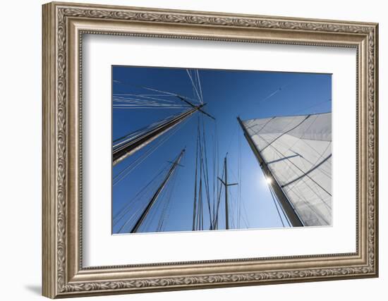 USA, Massachusetts, Cape Ann, Gloucester, schooner sails-Walter Bibikow-Framed Photographic Print