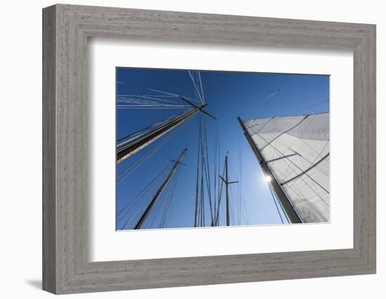 USA, Massachusetts, Cape Ann, Gloucester, schooner sails-Walter Bibikow-Framed Photographic Print