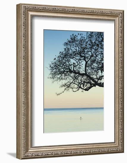 USA, Massachusetts, Cape Ann, Rockport, tree over Front Beach at dusk-Walter Bibikow-Framed Photographic Print