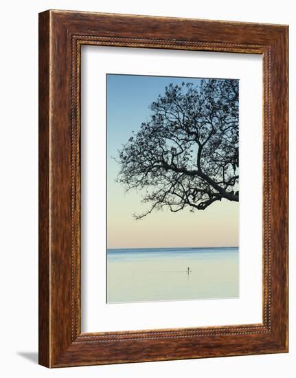 USA, Massachusetts, Cape Ann, Rockport, tree over Front Beach at dusk-Walter Bibikow-Framed Photographic Print