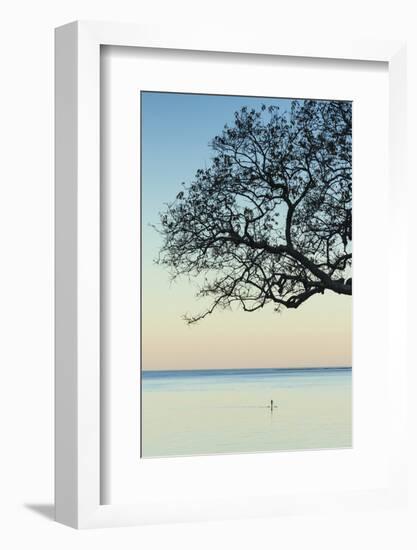 USA, Massachusetts, Cape Ann, Rockport, tree over Front Beach at dusk-Walter Bibikow-Framed Photographic Print