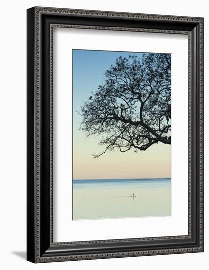 USA, Massachusetts, Cape Ann, Rockport, tree over Front Beach at dusk-Walter Bibikow-Framed Photographic Print