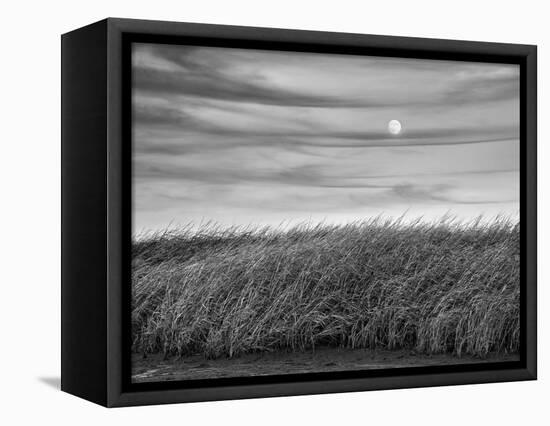 USA, Massachusetts, Cape Cod, Full moon rising at First Encounter Beach-Ann Collins-Framed Premier Image Canvas