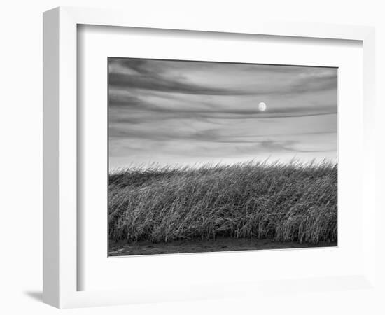 USA, Massachusetts, Cape Cod, Full moon rising at First Encounter Beach-Ann Collins-Framed Photographic Print