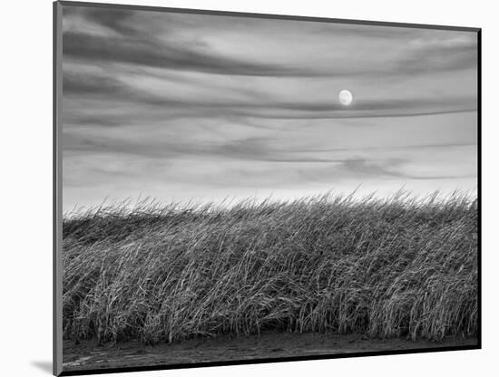 USA, Massachusetts, Cape Cod, Full moon rising at First Encounter Beach-Ann Collins-Mounted Photographic Print