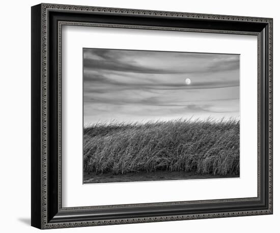 USA, Massachusetts, Cape Cod, Full moon rising at First Encounter Beach-Ann Collins-Framed Photographic Print