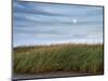 USA, Massachusetts, Cape Cod, Full moon rising at First Encounter Beach-Ann Collins-Mounted Photographic Print