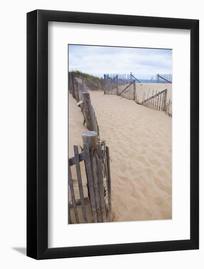 USA, Massachusetts. Dunes and path leading to a Cape Cod beach.-Anna Miller-Framed Photographic Print