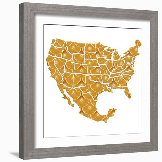 USA-Mexico Diet, Conceptual Artwork-Victor Habbick-Framed Premium Photographic Print