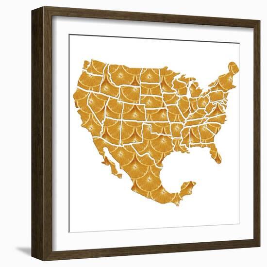 USA-Mexico Diet, Conceptual Artwork-Victor Habbick-Framed Premium Photographic Print