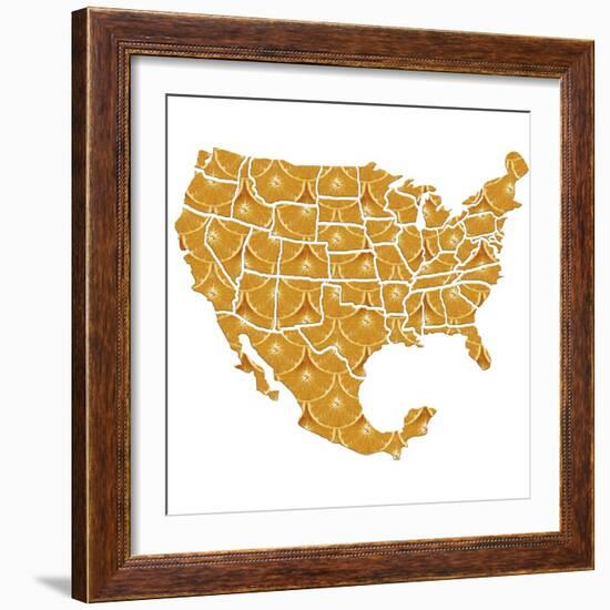 USA-Mexico Diet, Conceptual Artwork-Victor Habbick-Framed Premium Photographic Print