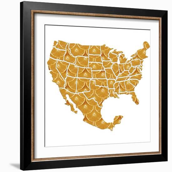 USA-Mexico Diet, Conceptual Artwork-Victor Habbick-Framed Premium Photographic Print