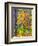 USA, Michigan. Fall color in the hardwood forest of the Upper Peninsula-Terry Eggers-Framed Photographic Print
