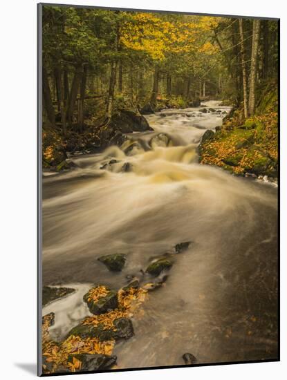 USA, Michigan, Fall Colors, Stream-George Theodore-Mounted Photographic Print