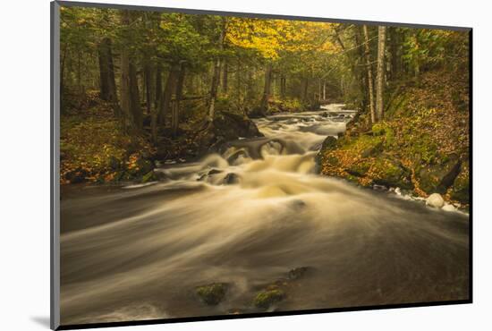USA, Michigan. Fall Colors, Stream-George Theodore-Mounted Photographic Print