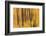 USA, Michigan. Panned abstract of trees with Autumn foliage.-Brenda Tharp-Framed Photographic Print