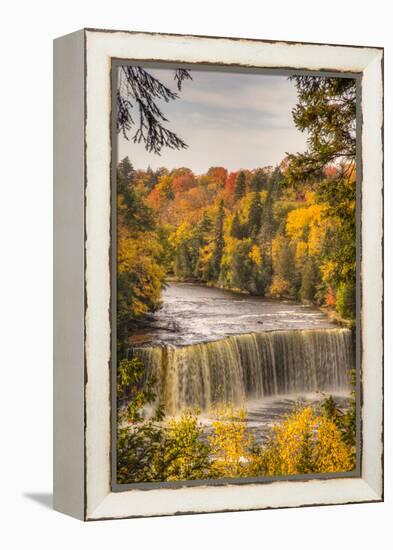 USA, Michigan, Paradise, Tahquamenon Falls State Park, Upper Falls-Frank Zurey-Framed Premier Image Canvas