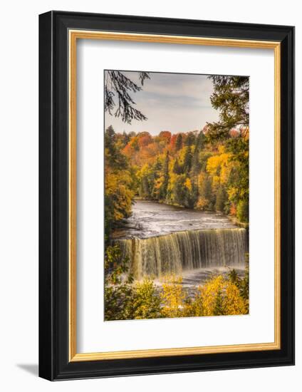 USA, Michigan, Paradise, Tahquamenon Falls State Park, Upper Falls-Frank Zurey-Framed Photographic Print