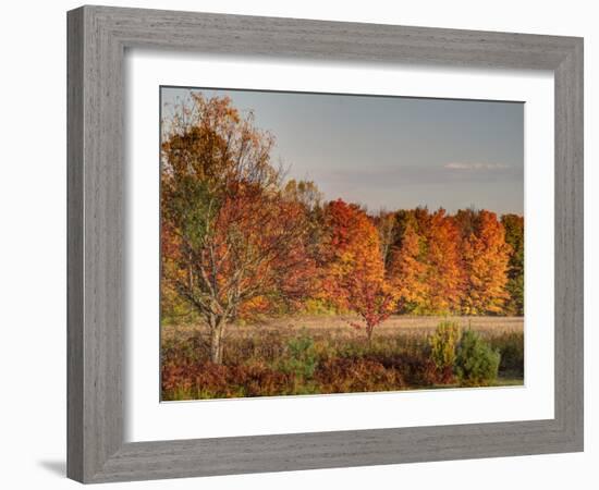 USA, Michigan, Upper Peninsula. Fall Colors in Hiawatha NF-Julie Eggers-Framed Photographic Print
