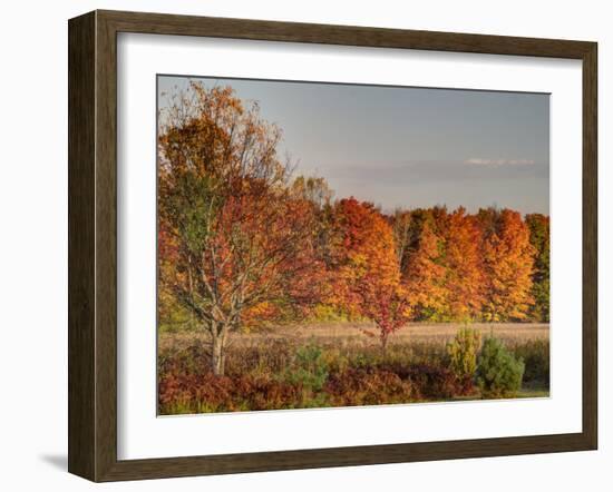 USA, Michigan, Upper Peninsula. Fall Colors in Hiawatha NF-Julie Eggers-Framed Photographic Print