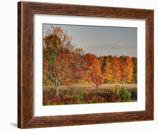 USA, Michigan, Upper Peninsula. Fall Colors in Hiawatha NF-Julie Eggers-Framed Photographic Print