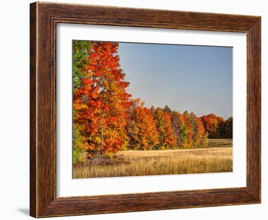 USA, Michigan, Upper Peninsula. Fall Colors in Hiawatha NF-Julie Eggers-Framed Photographic Print