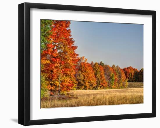 USA, Michigan, Upper Peninsula. Fall Colors in Hiawatha NF-Julie Eggers-Framed Photographic Print