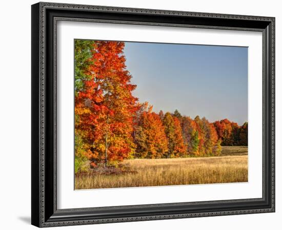 USA, Michigan, Upper Peninsula. Fall Colors in Hiawatha NF-Julie Eggers-Framed Photographic Print