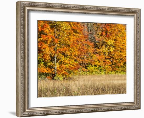 USA, Michigan, Upper Peninsula. Fall Colors in Hiawatha NF-Julie Eggers-Framed Photographic Print