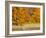 USA, Michigan, Upper Peninsula. Fall Colors in Hiawatha NF-Julie Eggers-Framed Photographic Print