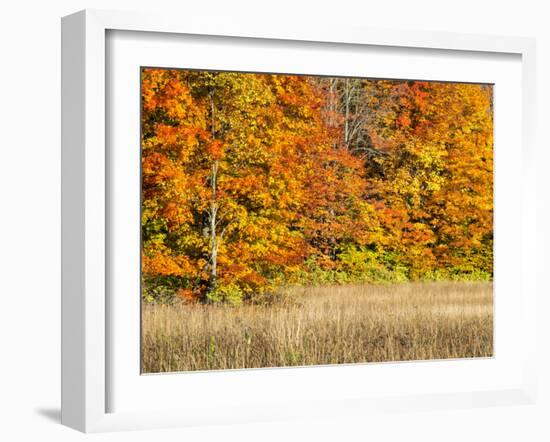 USA, Michigan, Upper Peninsula. Fall Colors in Hiawatha NF-Julie Eggers-Framed Photographic Print