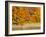 USA, Michigan, Upper Peninsula. Fall Colors in Hiawatha NF-Julie Eggers-Framed Photographic Print