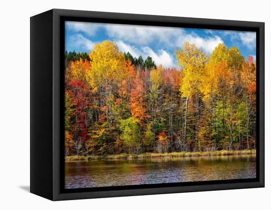 USA, Michigan, Upper Peninsula, Munising. Autumn trees at Thornton Lake-Ann Collins-Framed Premier Image Canvas