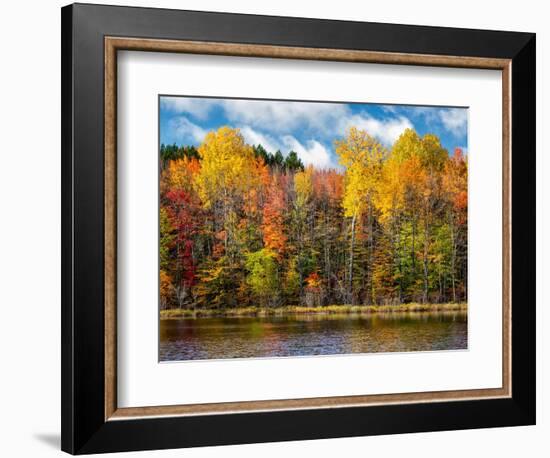 USA, Michigan, Upper Peninsula, Munising. Autumn trees at Thornton Lake-Ann Collins-Framed Photographic Print