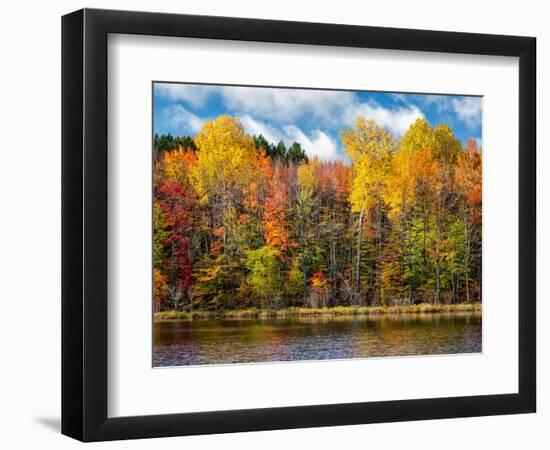 USA, Michigan, Upper Peninsula, Munising. Autumn trees at Thornton Lake-Ann Collins-Framed Photographic Print